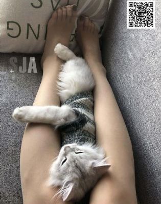 欧美精品成人第一第二区_1080电影免费在线